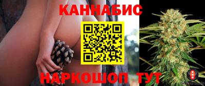 стаф Краснознаменск